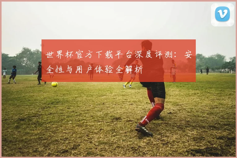 世界杯官方下载平台深度评测：安全性与用户体验全解析