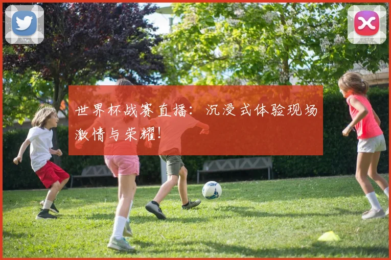 世界杯战赛直播：沉浸式体验现场激情与荣耀！